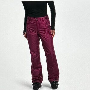 The North Face Sally Insulated Pants (Boysenberry) Womens Outerwear Size L